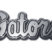 University of Florida Gators Chrome Emblem image 1