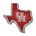 University of Houston Texas Auto Emblem image 1