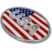 USA Flag Oval Chrome Emblem image 3
