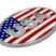 USA Flag Oval Chrome Emblem image 5