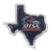 Texas at San Antonio Chrome Emblem image 1