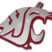 Washington State Crimson Chrome Emblem image 1