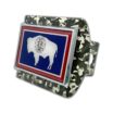 Wyoming Flag Urban Camo Hitch Cover image 6