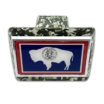 Wyoming Flag Urban Camo Hitch Cover image 3